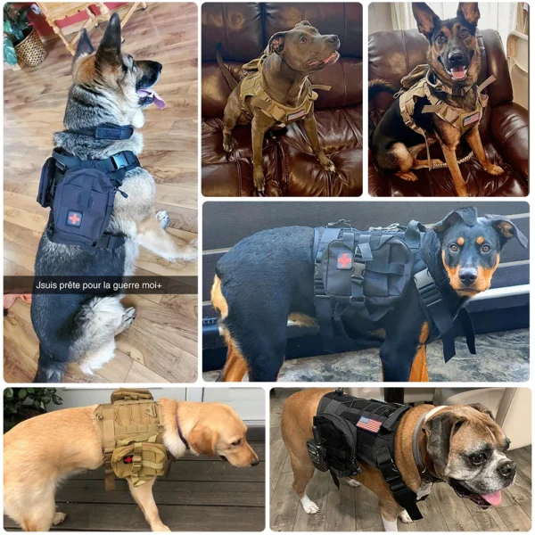Large Dog Collar Military Dog Harness And Leash Set Pet Training Vest Tactical German Shepherd Harnesses For All Sizes Dogs - Image 6