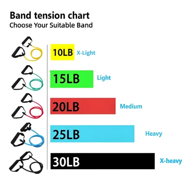 Resistance Bands With Handles Exercise Workout For Men Women - Image 2